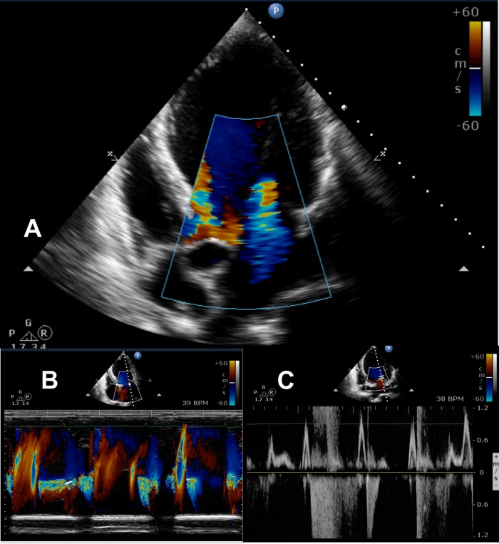 Figure 1