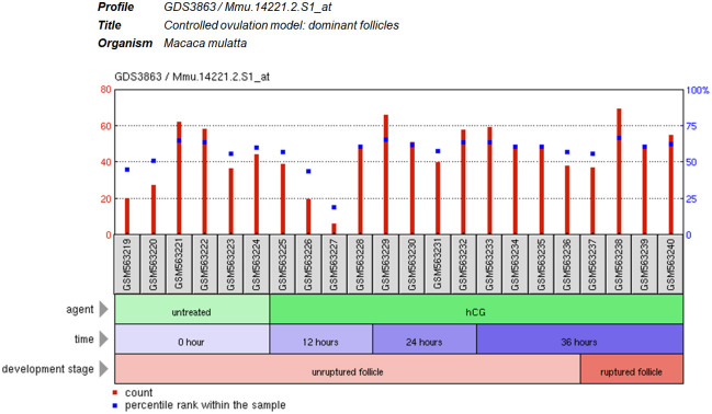 Supplemental Figure 1