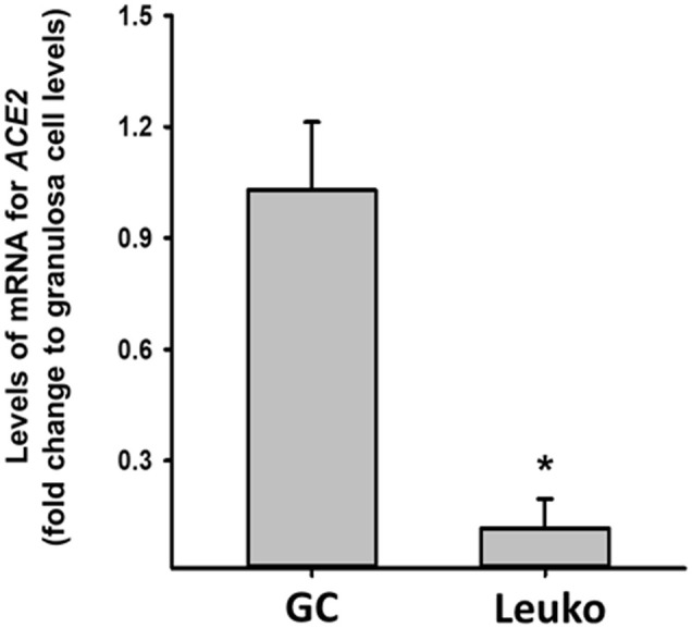 Supplemental Figure 3