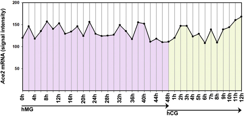 Supplemental Figure 2