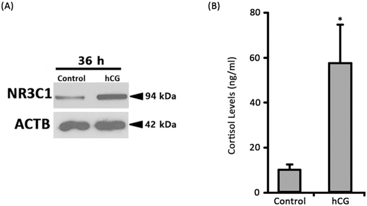 Supplemental Figure 4