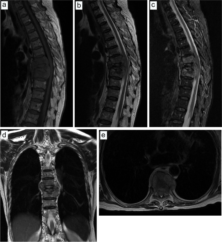 Fig. 9