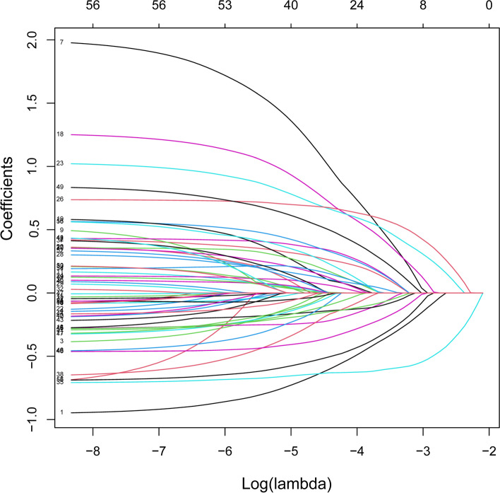 Fig. 2