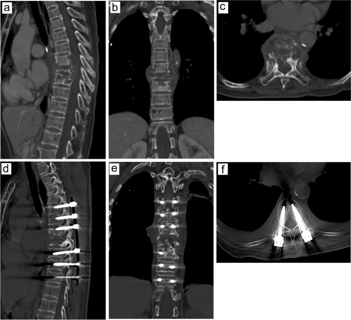 Fig. 8