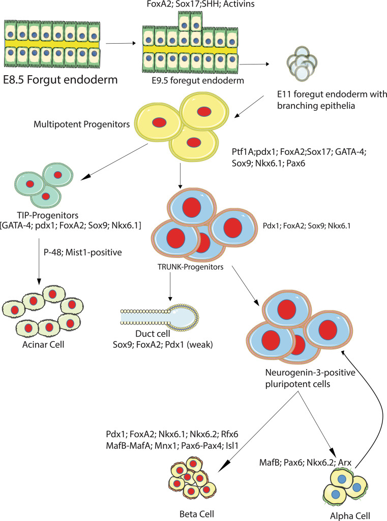 Fig. 2