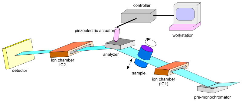 Fig. 1