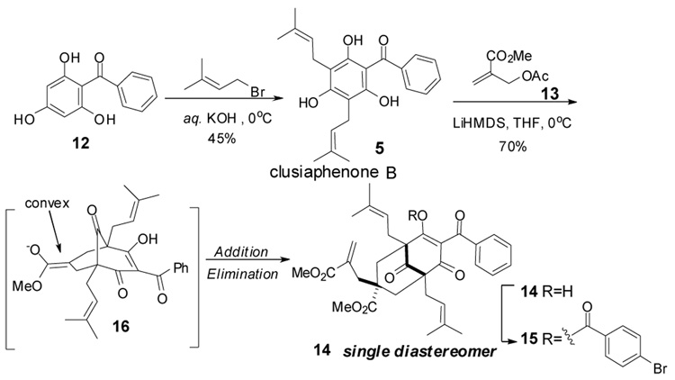 Scheme 2