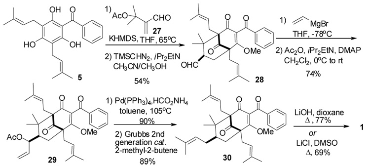 Scheme 3