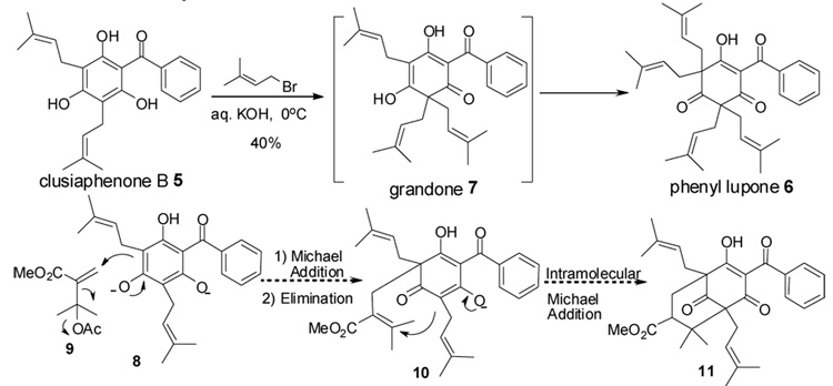 Scheme 1