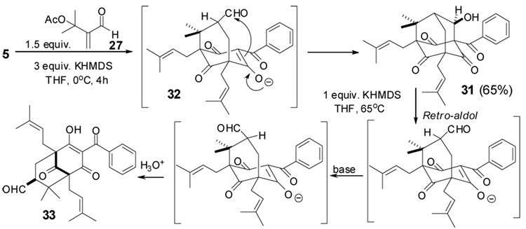 Scheme 4