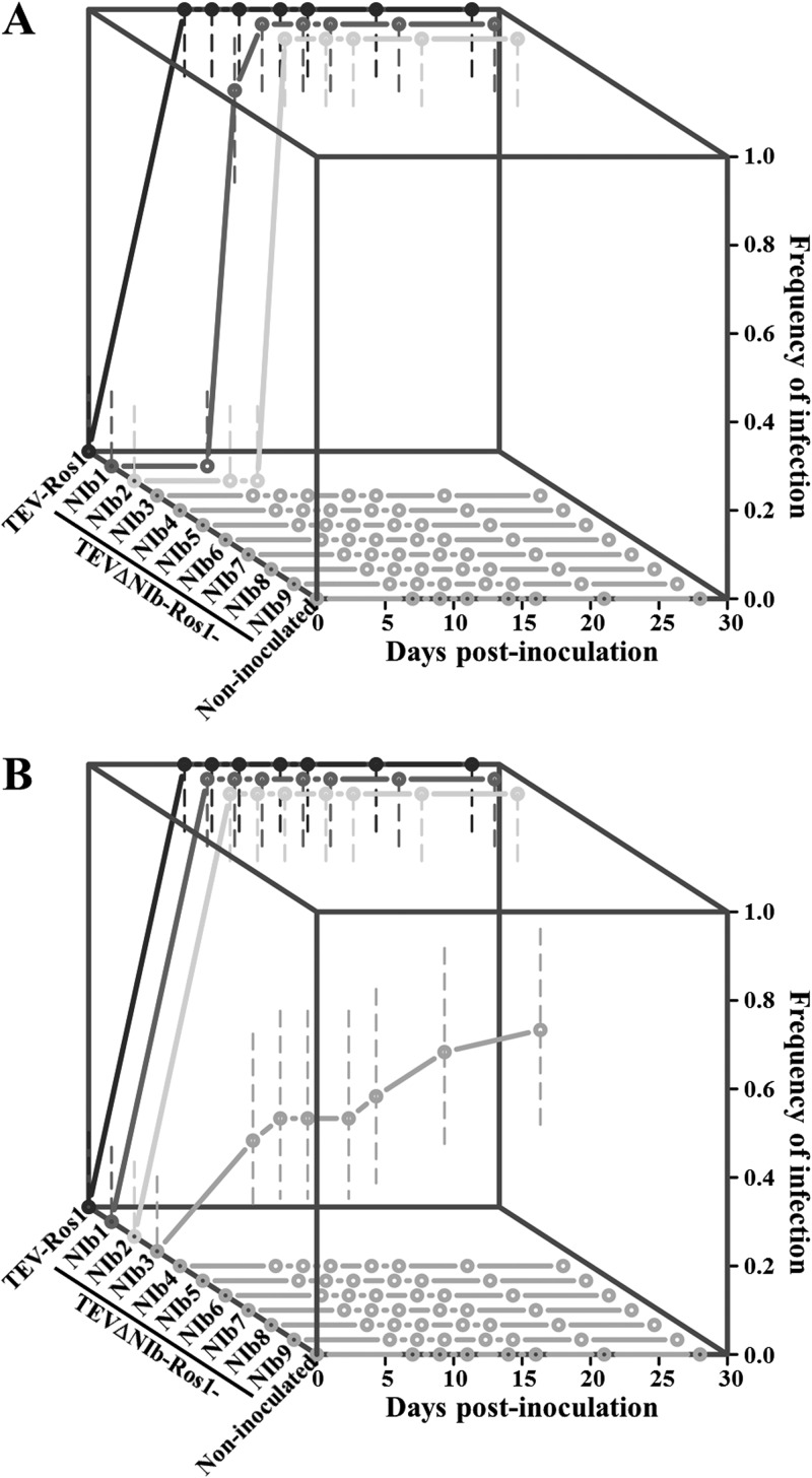 FIG 2