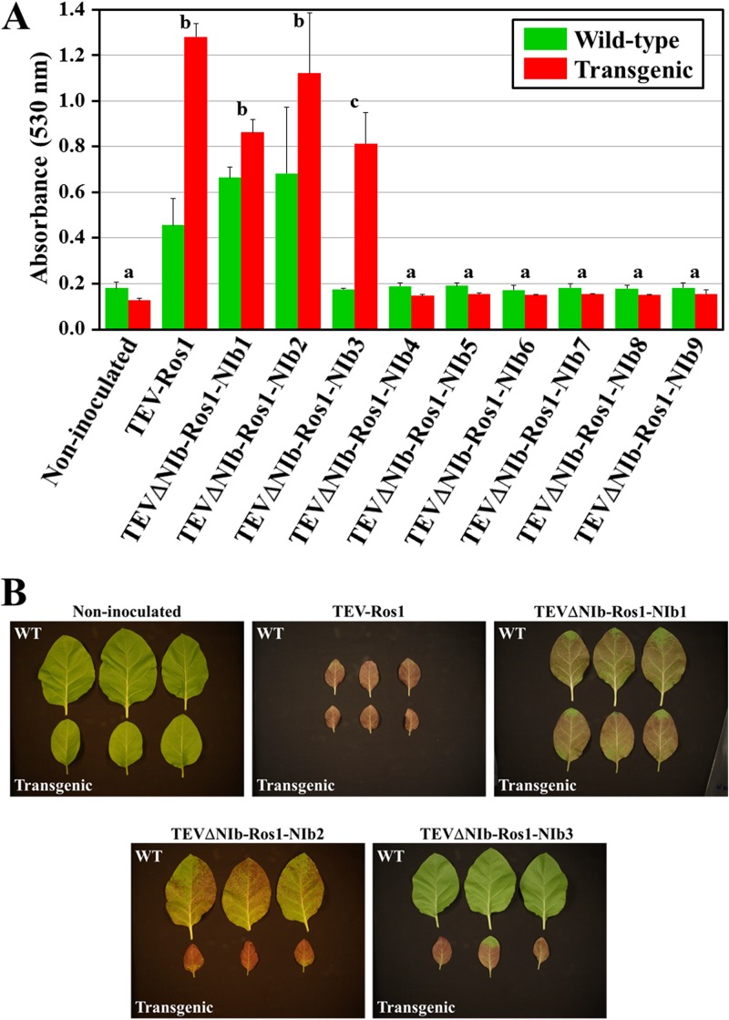 FIG 4