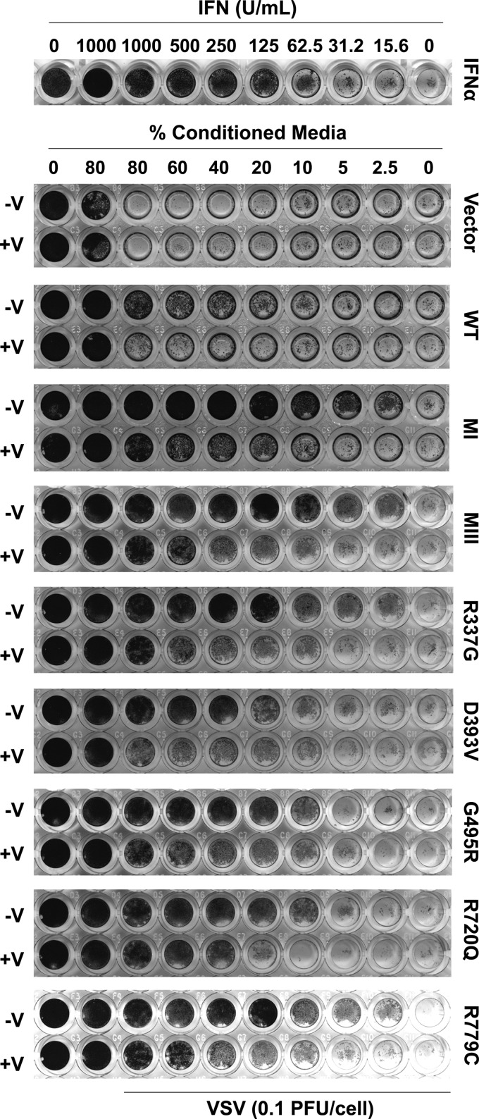 FIG. 7.