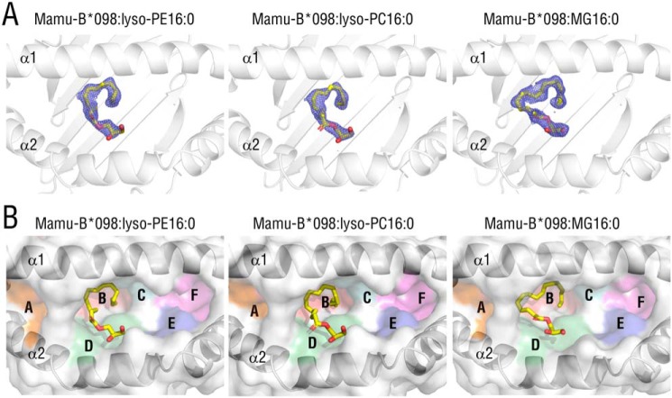 Figure 2.