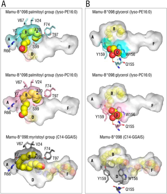 Figure 3.