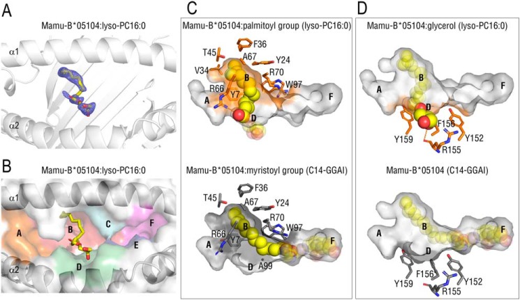 Figure 4.