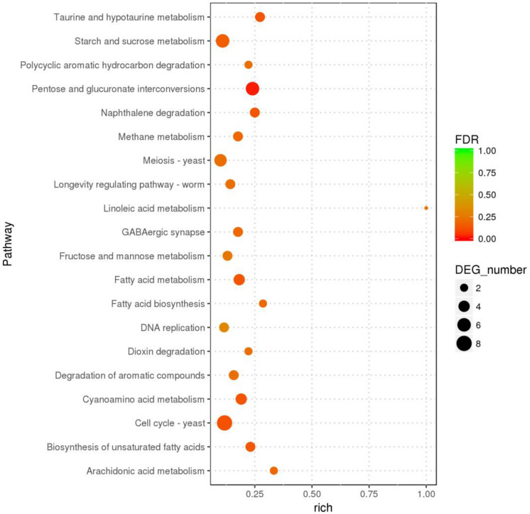 FIGURE 3