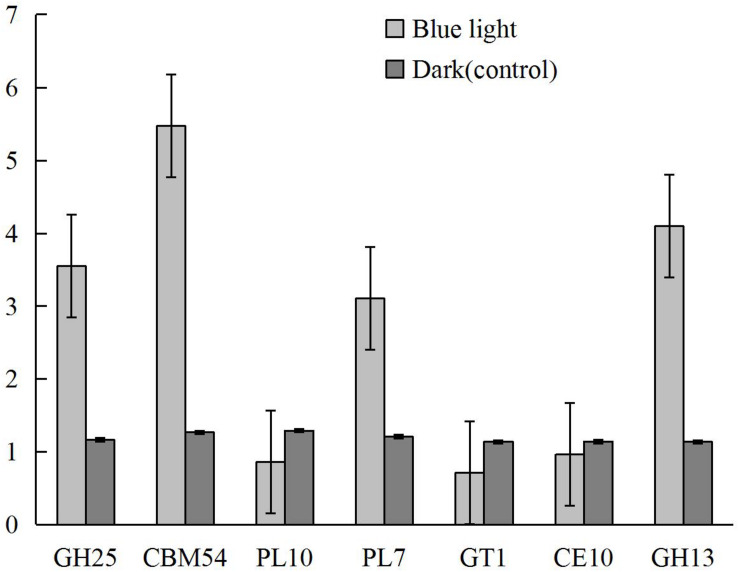 FIGURE 6