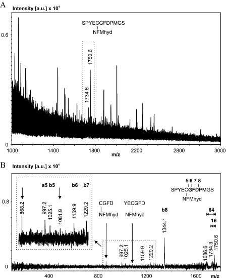 FIGURE 4.