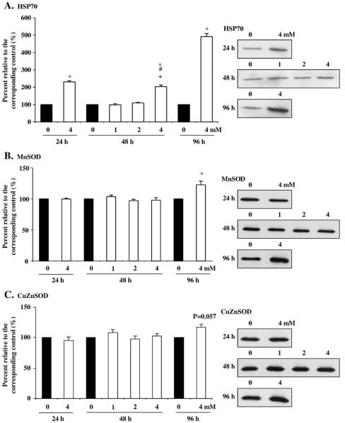 Fig. 12