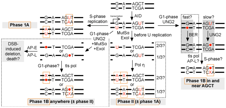 Figure 6.