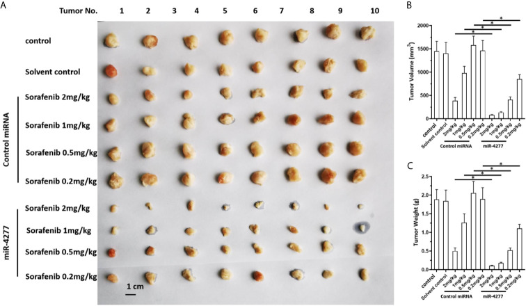 Figure 5