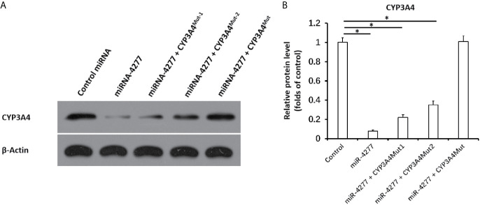 Figure 4