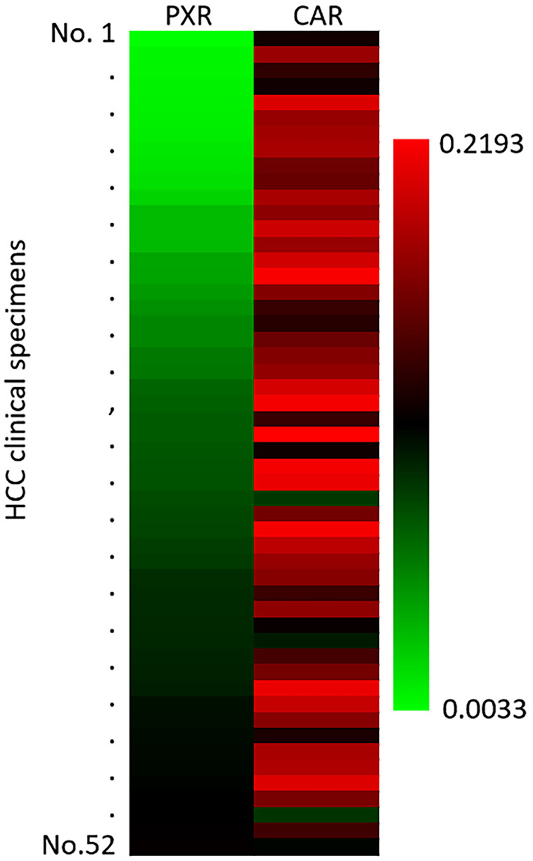 Figure 7