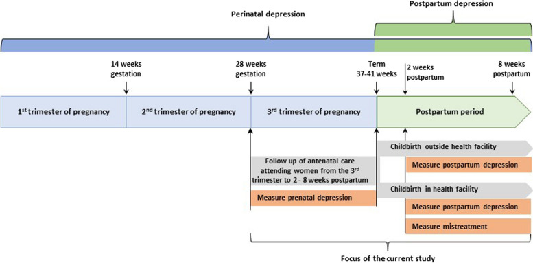 Fig. 1