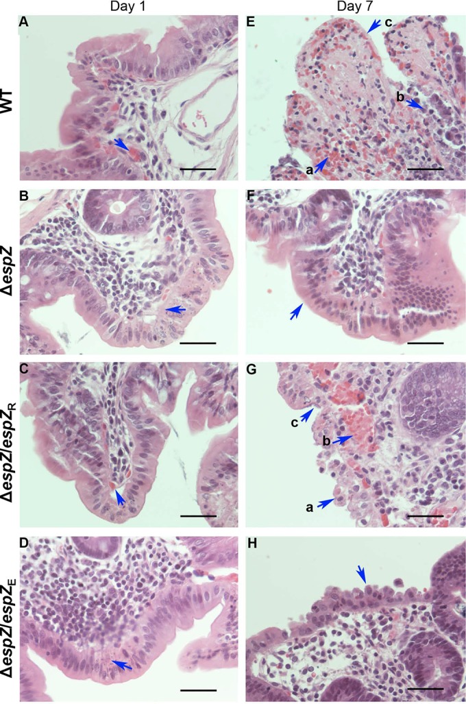 FIG 5