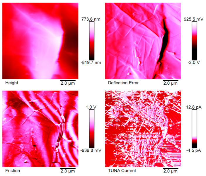 Figure 7