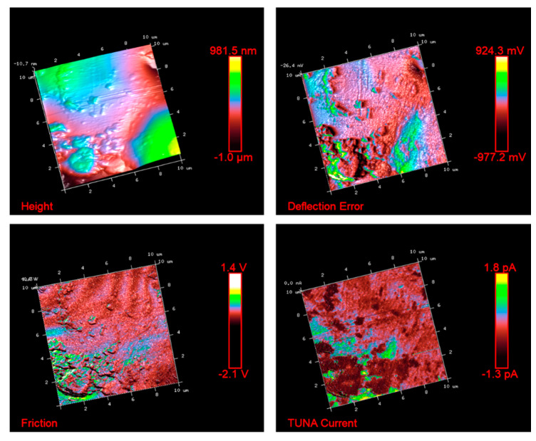 Figure 6