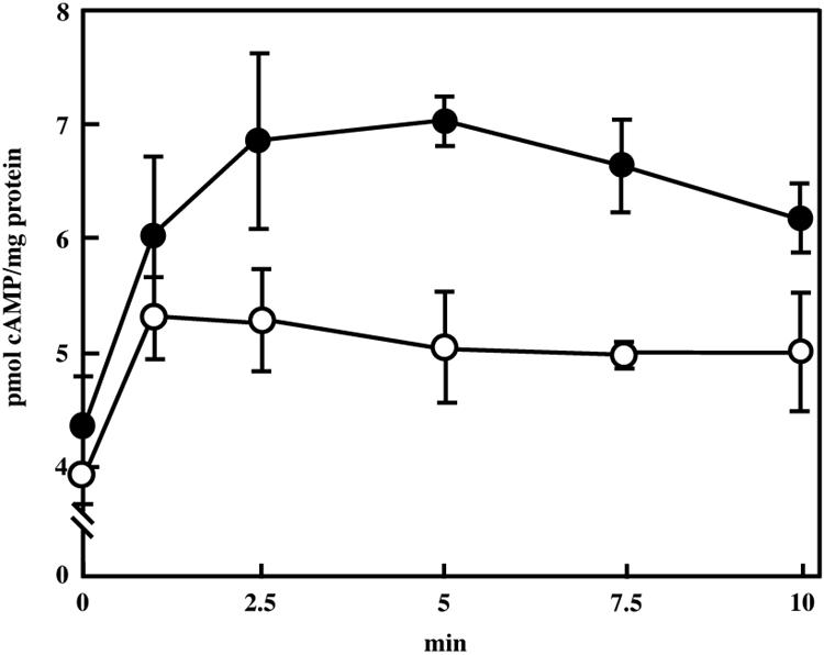 FIG. 5.