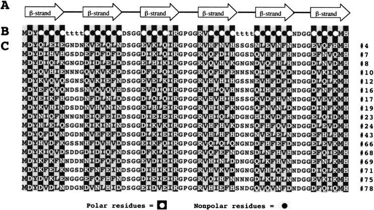 Figure 11.