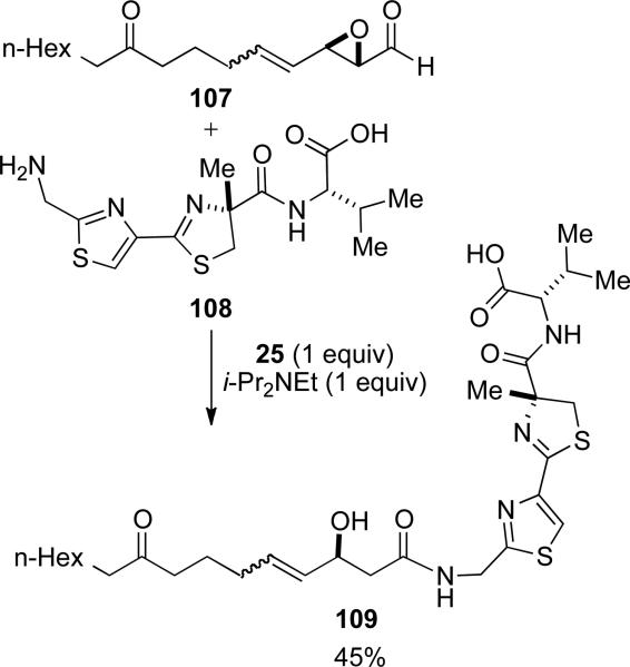 Scheme 27