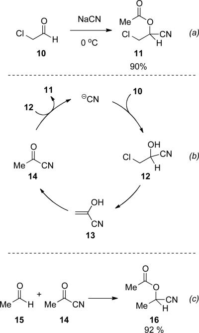 Scheme 4