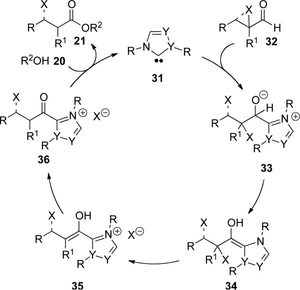 Scheme 8