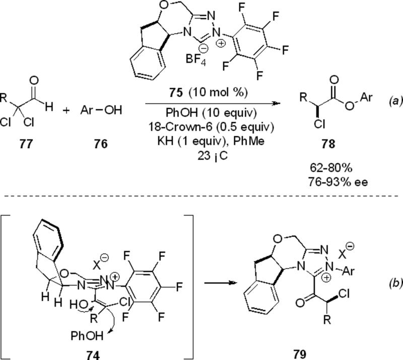 Scheme 19