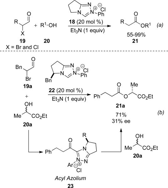 Scheme 6