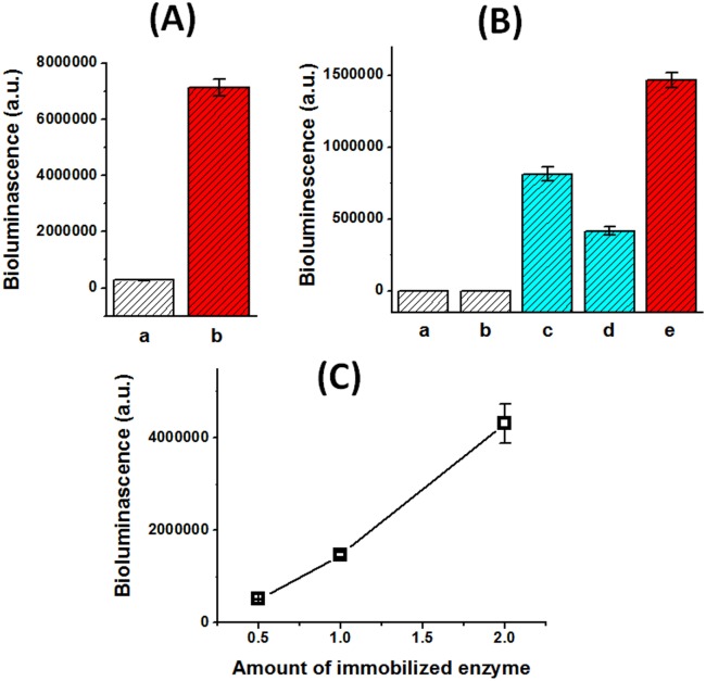 Fig 5