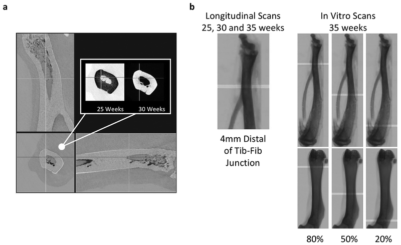 Figure 1 -