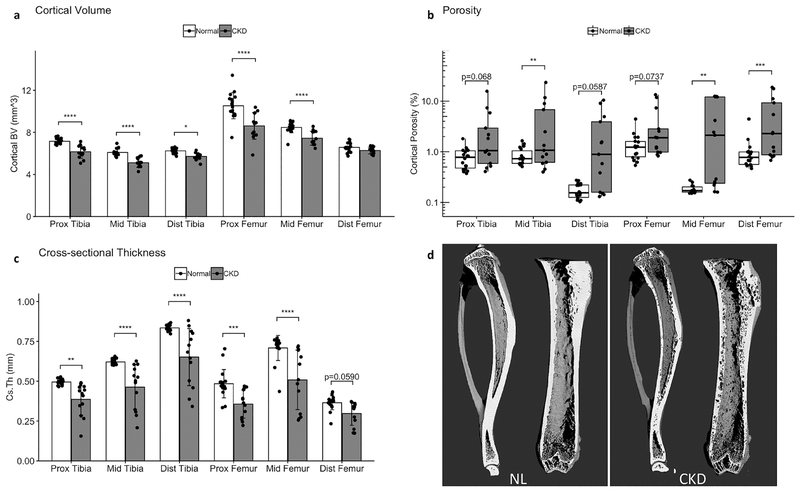 Figure 6 -