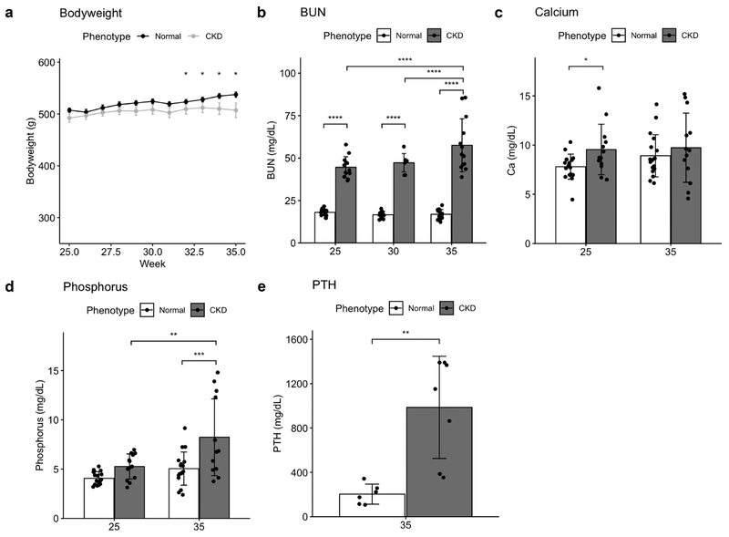 Figure 2 -