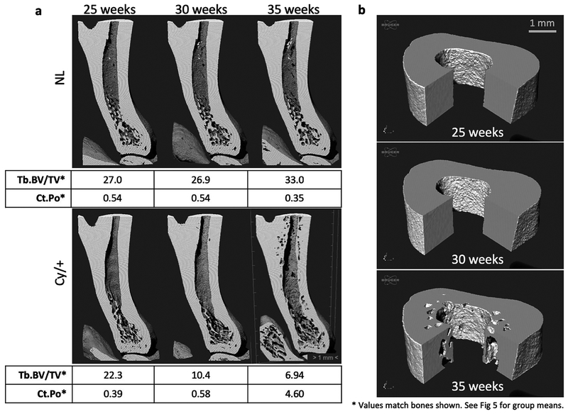 Figure 4-