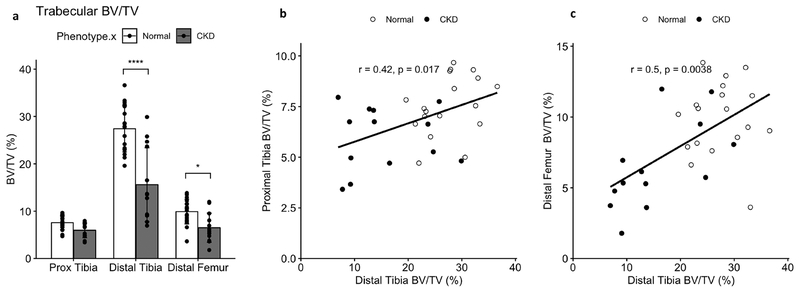 Figure 7 -