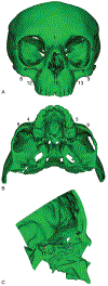 FIGURE 1.