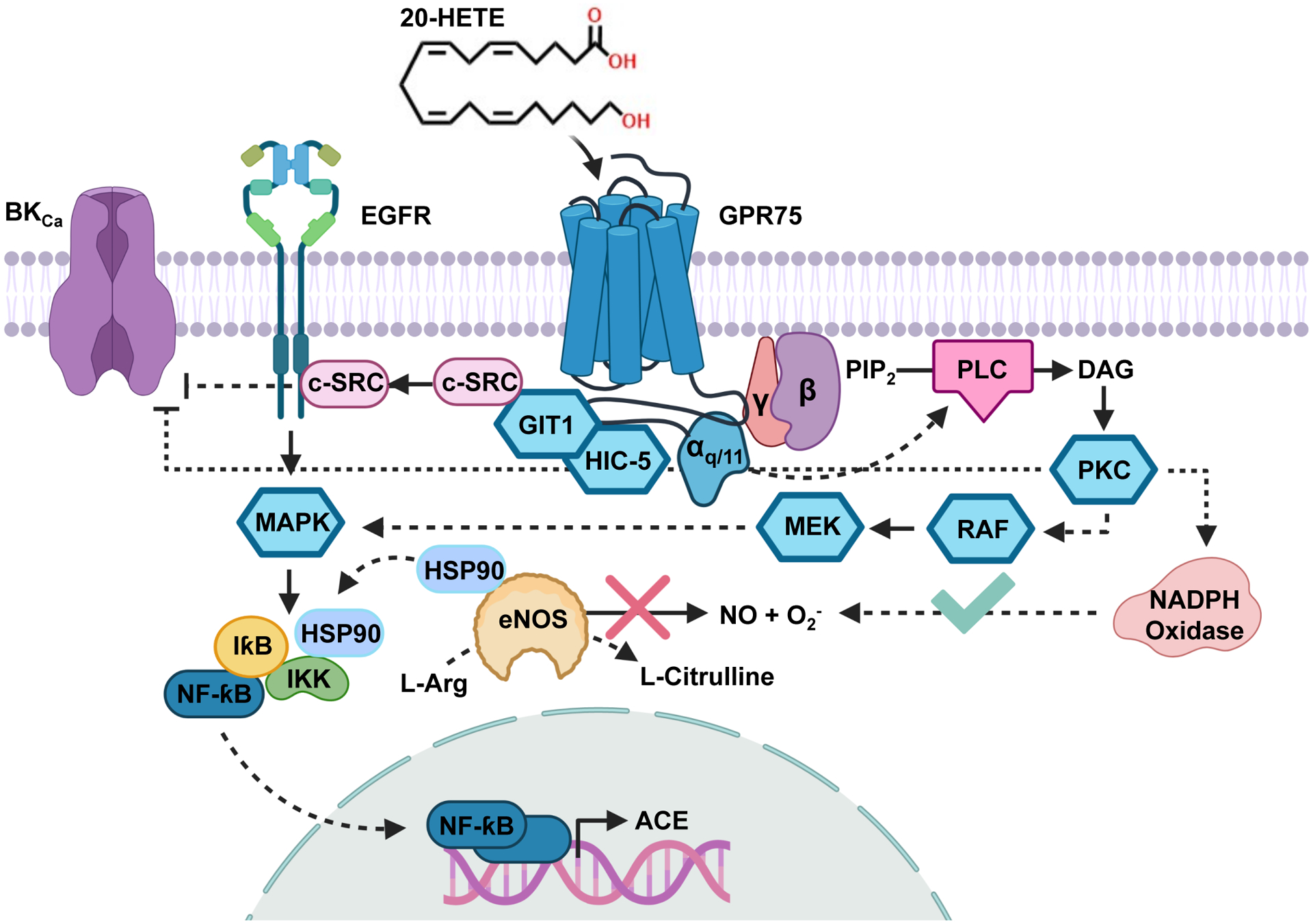 Figure 2: