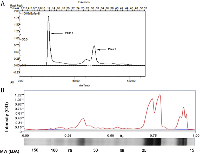 Fig. 1