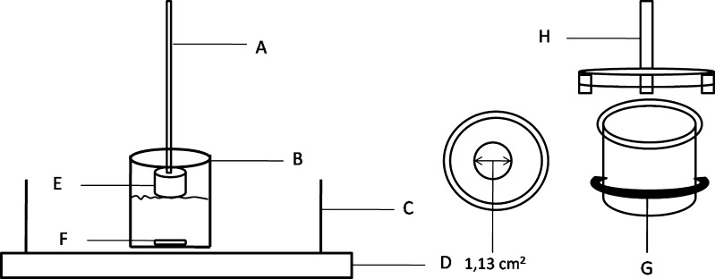 Fig. 2