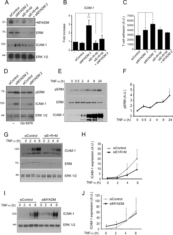 FIGURE 7: